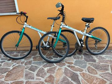 Due mountain bike  gemelle con portabike da tetto
