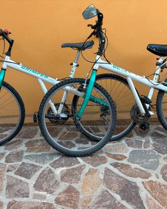 Due mountain bike  gemelle con portabike da tetto