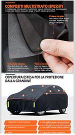 telo auto