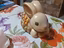 Immagine 3