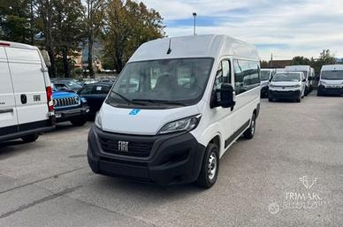 FIAT Ducato 9Posti per il Trasporto Persone c...