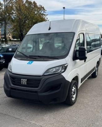 FIAT Ducato 9Posti per il Trasporto Persone c...