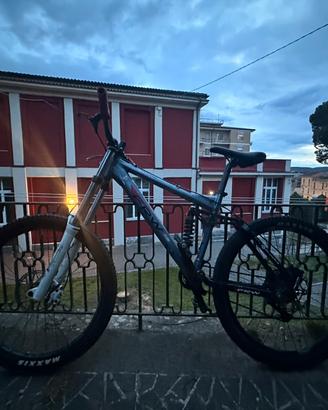 Bici Frw