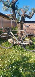 Corsa Colnago