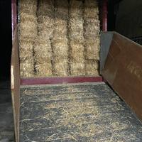 Foraggio in ballette