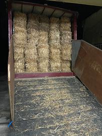 Foraggio in ballette