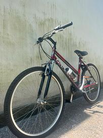 Mountain Bike Galvan 26” in condizioni ottime