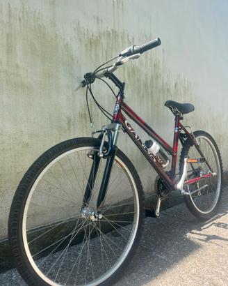 Mountain Bike Galvan 26” in condizioni ottime