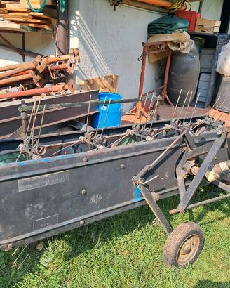 Voltafieno molon