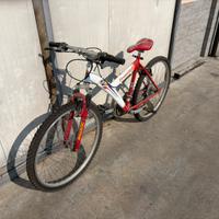Bici MTB