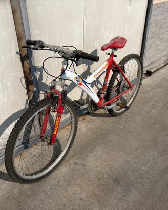 Bici MTB
