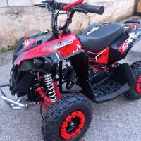 NUOVO QUAD MINI RENEGARE 50cc 2T RUOTA 6