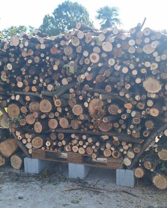 Legna mista da ardere in blocco già tagliata