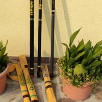 Canne da pesca sportiva in carbonio