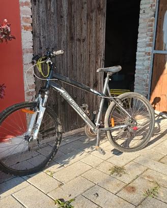 MTB  rock Rider 