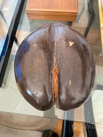 Coco de mer 1974 originale