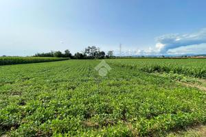 TER. AGRICOLO A CASATENOVO