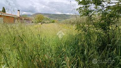 TER. AGRICOLO A ALATRI