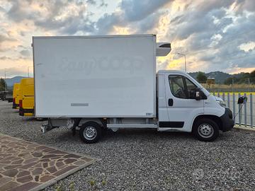 FIAT DUCATO FRIGO 2019