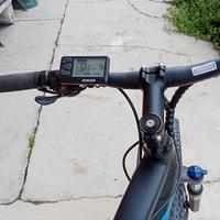 bicicletta elettrica 