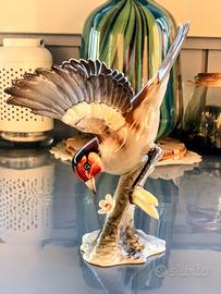 HUTSCHENREUTHER - Cardellino