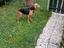 Immagine 5
