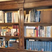 250 libri + 3 enciclopedie
