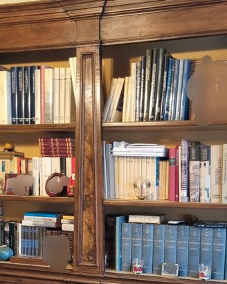 250 libri + 3 enciclopedie
