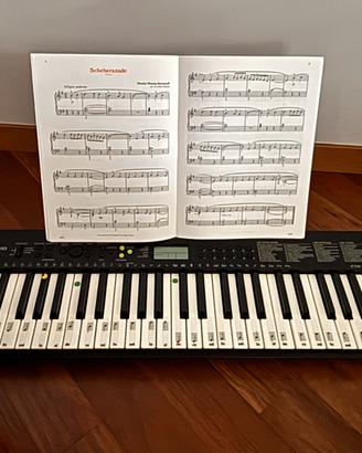 Tastiera elettronica Casio CTK 240