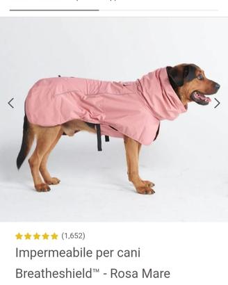 IMPERMEABILE E FELPA "SPARK PAWS"