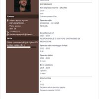 Candidato lavoro