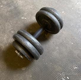 Set pesi/manubri in ghisa – dischi + 2 manubri