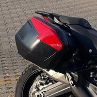 Borse ducati multistrada 950 v2