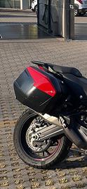 Borse ducati multistrada 950 v2