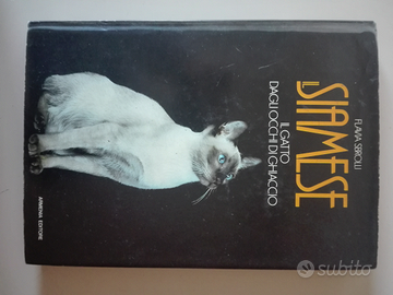 Il Siamese, gatto / Storie vere di animali. 1357