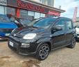 fiat-panda-1-0-s-s-hybrid-70cv