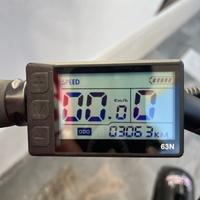 bici elettrica schiano