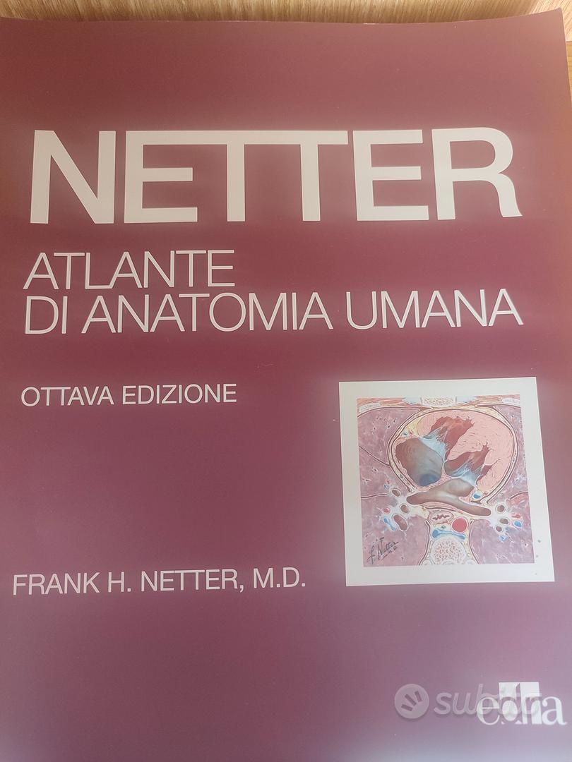 Netter Atlante di anatomia umana - Libri e Riviste In vendita a Catanzaro