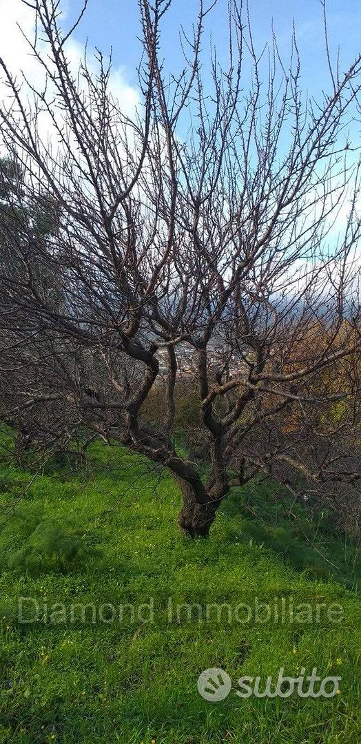 Proprietà agricola con casolare a Linguaglossa - Vista 2