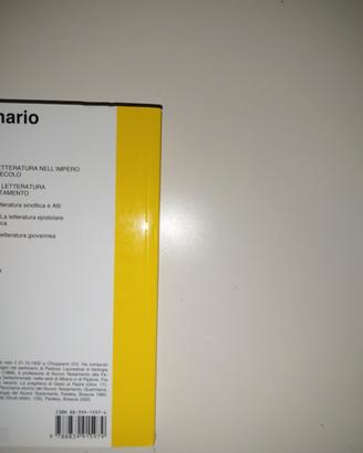 panorama letterario nuovo testamento 