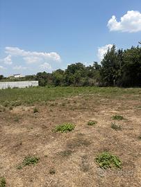 Terreno agricolo varcaturo