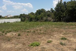 Terreno agricolo varcaturo