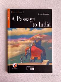 A Passage to India, Forster - Black Cat