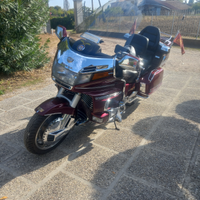 Goldwing 1500 da vetrina