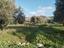 Immagine 11
