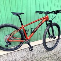 Montanbike Biesse seminuova