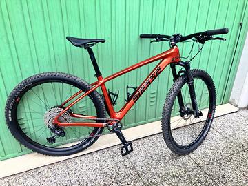 Montanbike Biesse seminuova