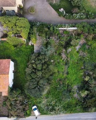 Terreno edificabile con progetto approvato