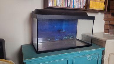 Acquario completo