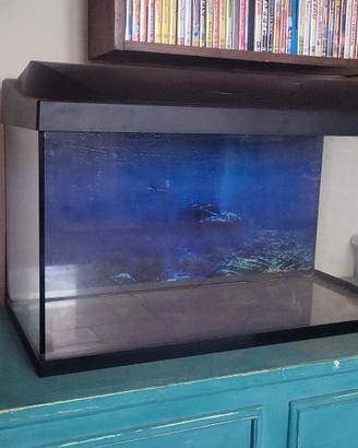 Acquario completo